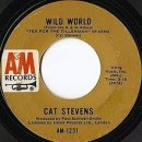 Wild World - Cat Stevens 이미지