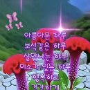 백산한의원 Daum카페