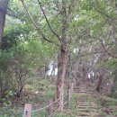 칠천량해전길 이미지