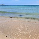 성산포항여객터미널 이미지