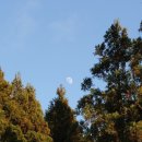 붉은오름자연휴양림1 이미지