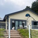 에브리댕댕 이미지