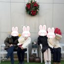 마리스스파펜션 이미지