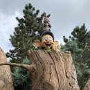 이치위치 이미지