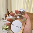 별들의속삭임 | 실내 향기 르미에 리틀 디퓨저 100ml 머스크의 속삭임과 꽃내음 르미에캔들