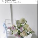 라플랑드 이미지