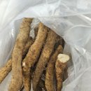 야생마 산약 이미지