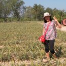 석식농장 이미지