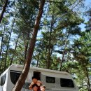 몽산포오션캠핑장 이미지