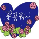 꽁쓰 이미지