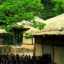 고향에봄 - 창원시 성산구 | 고향에봄