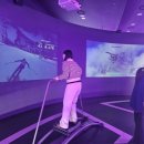 코스페이시스로 떠나는 메타버스 여행 | 강릉 뚜벅이 여행 / 안반데기 별빛 투어/ 메타버스체험관 / 사근진 해변 / 발왕산 케이블카