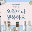 웰스시 이미지