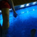 카라반닥터 이미지