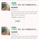 삼오농장 이미지