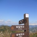 민둥산 이미지