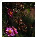 녹수청산 이미지