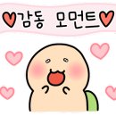 대우땅콩 이미지
