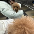 윤서유치원 | 내가 얼마나 재밌게 놀았는지 봐