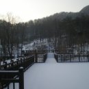 쉬자파크 이미지