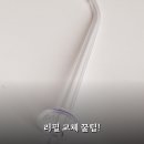 (주)워터케어 | 가츠 이워터케어B 노즐 2주 써보니 리필 교체 후기