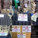 동물보육원 이미지