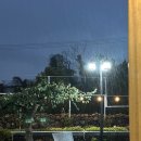 제주베이스캠프 이미지