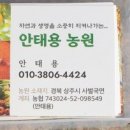 황산가리(칼리,칼륨) 비료와 염화가리,인산가리 차이점 비교,효능,효과,사용 방법 이미지