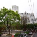 건축사사무소 서진 이미지