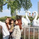 문준호 슈퍼매직쇼 이미지