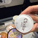 MR.SOON-미스터순 | 싱가포르 여행 1일차(대한항공 프리미엄석,야쿤토스트,차이나타운,두리안,라우파삿)