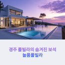 늘품 풀빌라 | 경주 풀빌라 숙소 비교, 늘품풀빌라가 사랑받는 이유는?