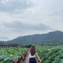 서현목장 이미지