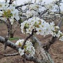 덕천농장 이미지