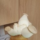 준혁이네집 이미지