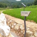 소뚝도랑 둘레길 동부교차로저널