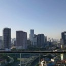 옵션 그린 마트 이미지