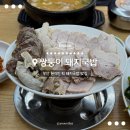 부산 현지인 돼지국밥 맛집 추천 쌍둥이 돼지국밥 내돈내산 후기