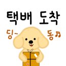 폴리덴탈 이미지