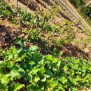 화순케어랜드요양병원 이미지