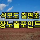 석모도 칠면초 장노출 포인트 이미지