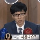 봄날의 댕댕이 이미지