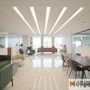 강남-161 이미지