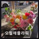 오월애봄 - 합천군 | [대전 꽃집] 오월애플라워 신선함과 세심함이 돋보인다