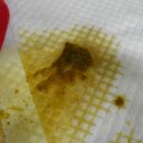 와이즈 동물병원 이미지