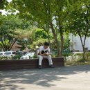 수밋들공원 이미지