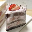 몽드케이크 | 부천시청케이크 맛집 카페몽드에서 홀케이크 포장 후기｜과일 가득한 생크림 케이크 추천