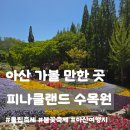 월선캠핑장 | 아산 피나클랜드 수목원 봄꽃 개화현황(5월 5일) ㅣ 튤립 시즌 종료 전 방문 후기