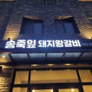 송죽잎 이미지