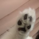 지용약국 이미지